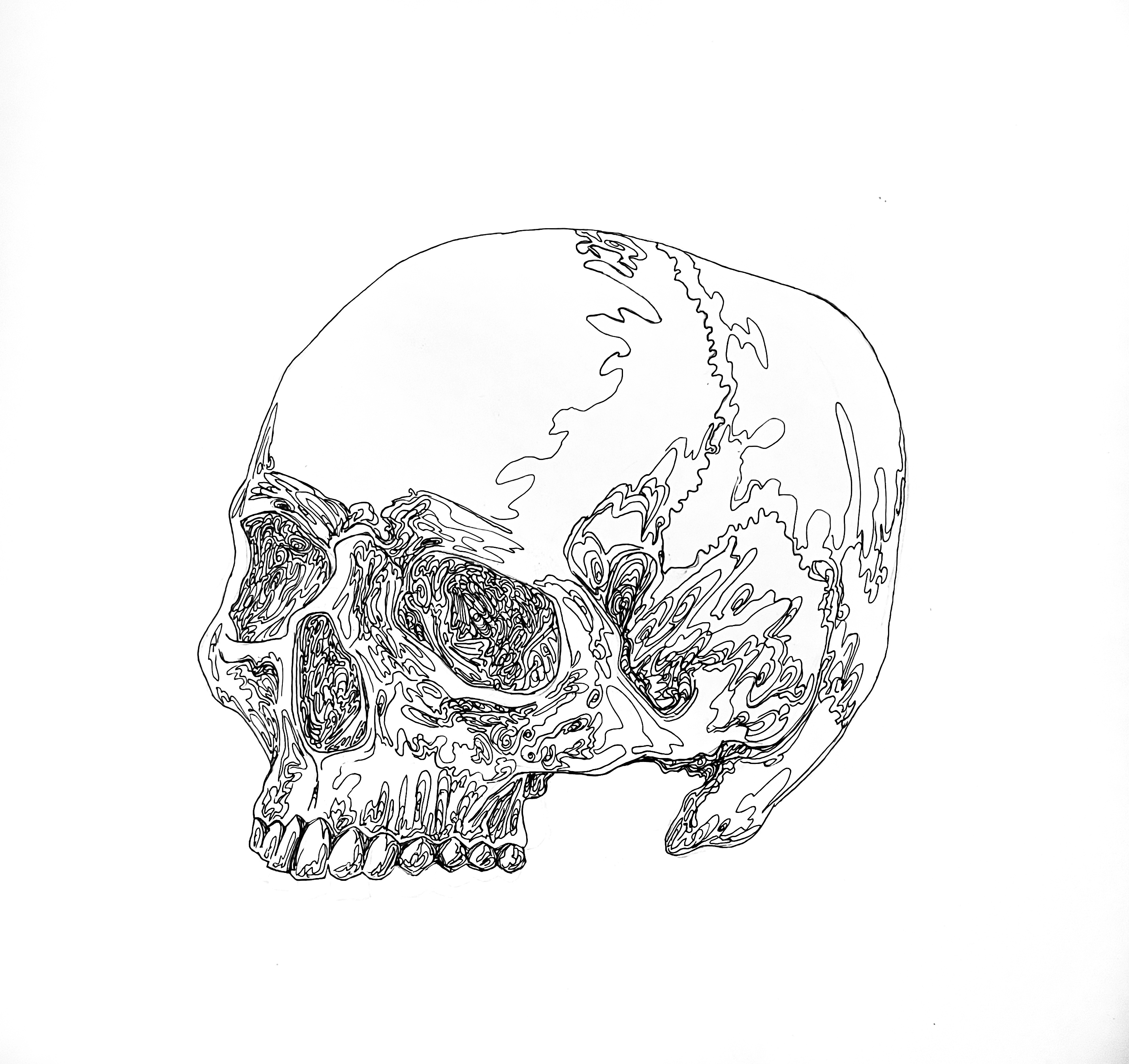 FullSizeRender 4.JPG